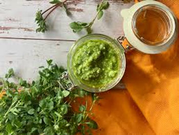 Frisches Vogelmiere-Pesto im Glas mit Wildkräutern